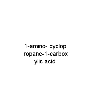 1-amino- cyclopropane-1-carboxylic acid